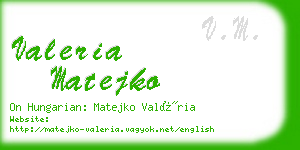 valeria matejko business card